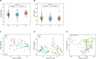 Gastric Mucosa-Associated Microbial Signatures of Early Gastric Cancer